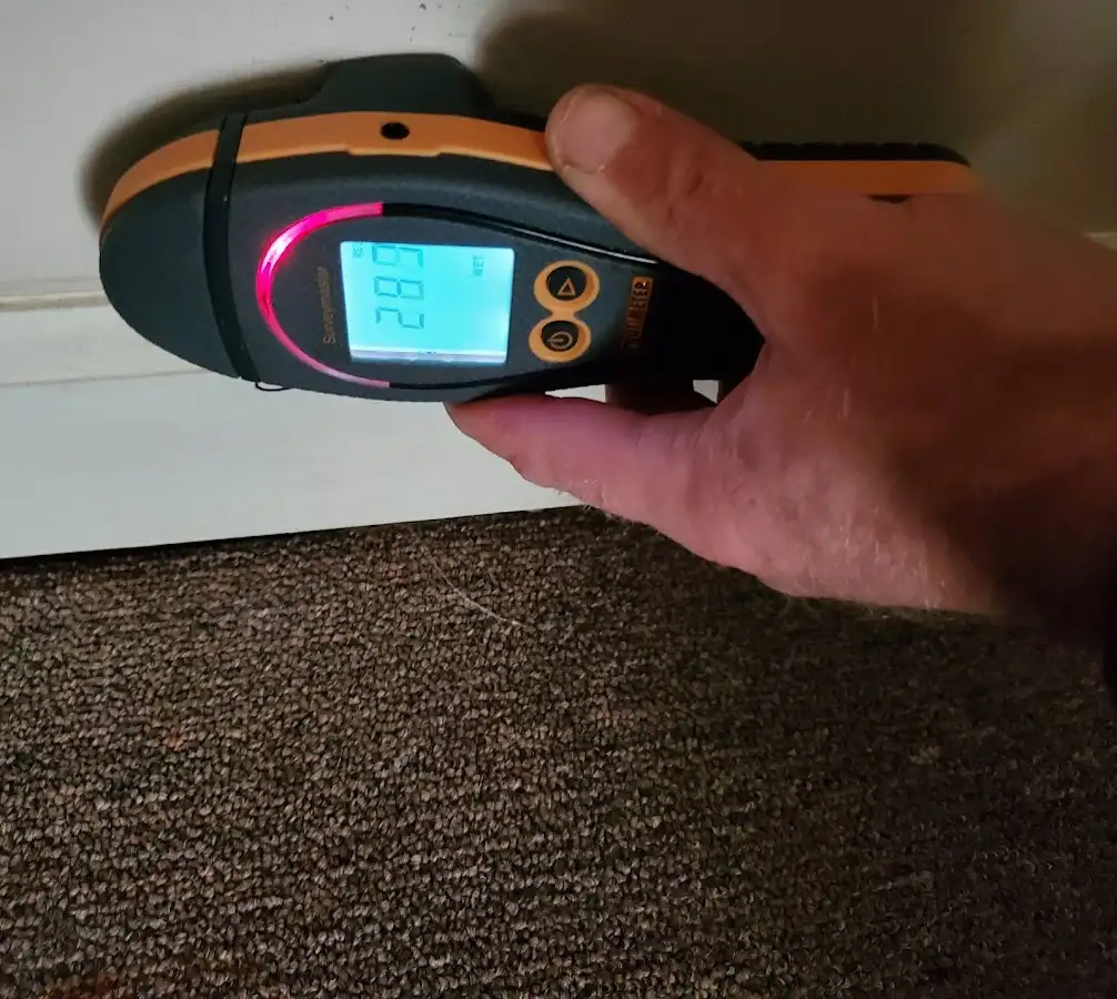 Moisture detection at baseboard during Sewage Cleanup & Sanitation in Lanett